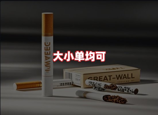 专业团队